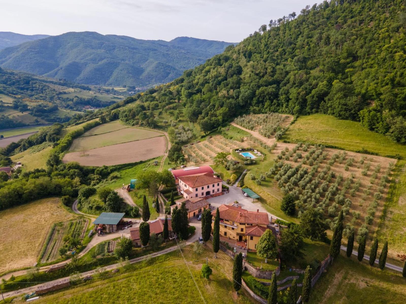 Trebbiolo Villa Dicomano Exterior photo